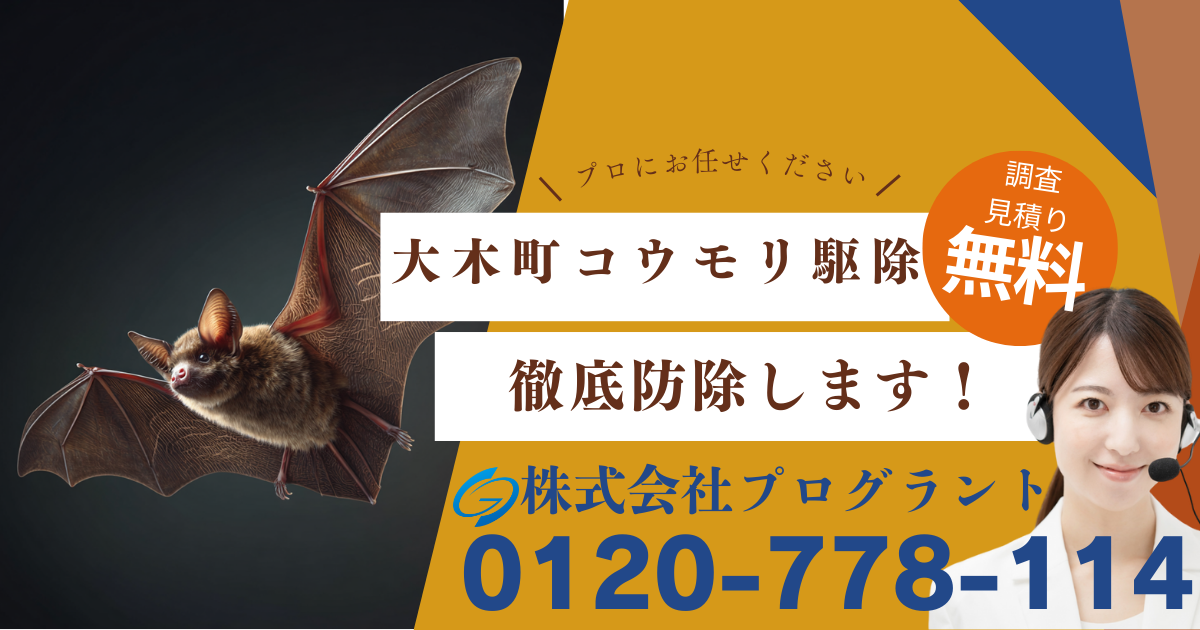 大木町　コウモリ駆除